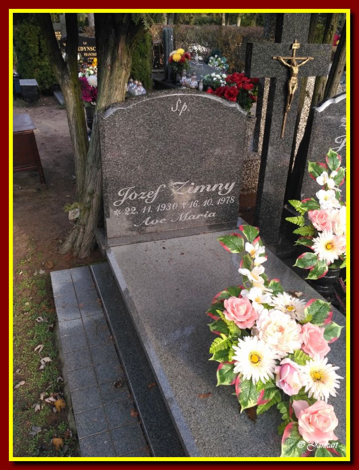 Zimny J.